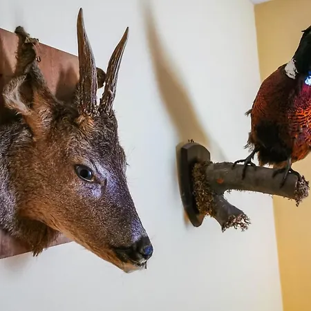 Case de vacanță комплекс петлето *