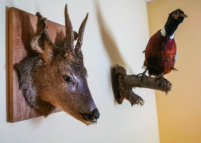 בית נופש комплекс петлето *