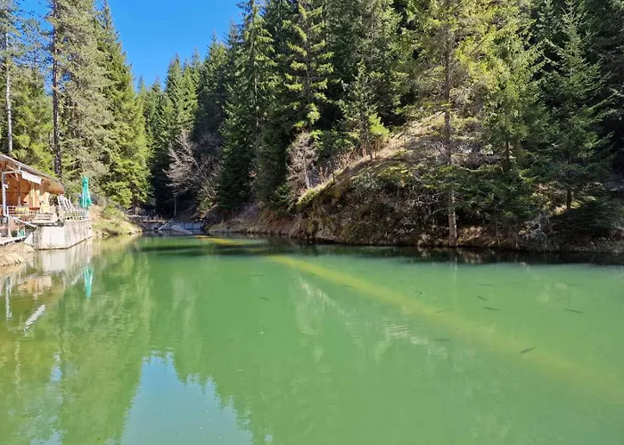 בית נופש комплекс петлето